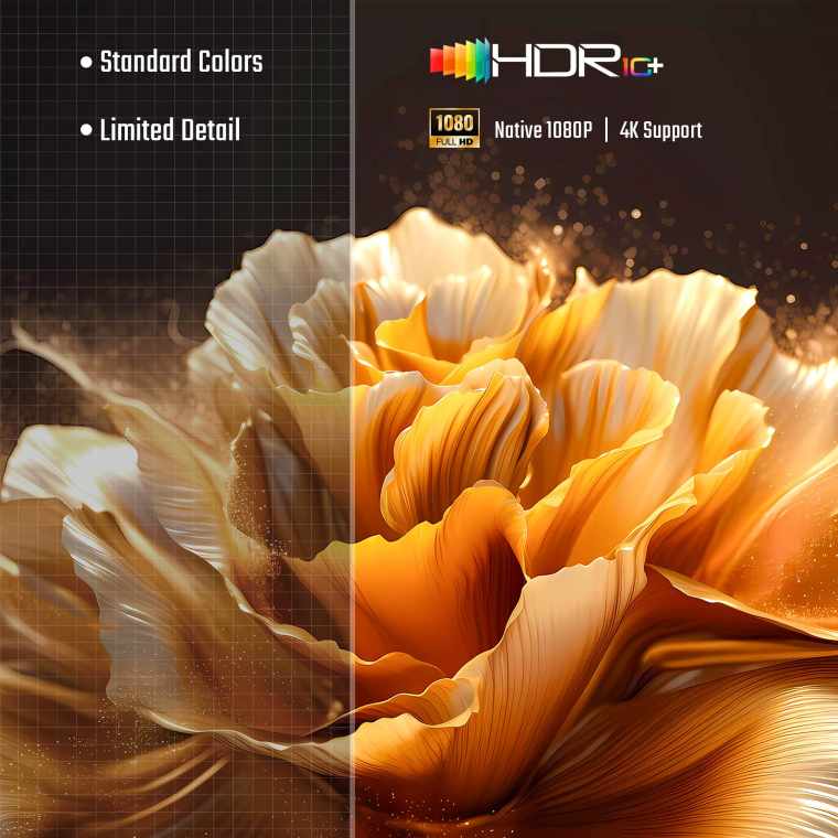 4K support picture quality
